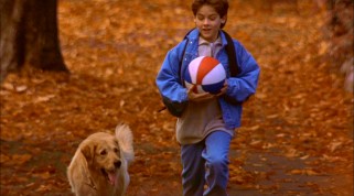 In "Air Bud", Once-sad 12-year-old Josh Framm (Kevin Zegers) finds fall fun with his new best friend, the stray Golden Retriever he names Buddy.