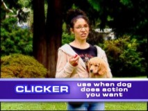 Professional dog trainer Jordan Heppner dishes out some great advice in "Train Your Dog to Be a Star."