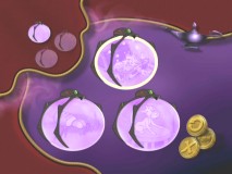 Wish at Your Own Risk