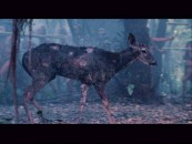 This injured deer is the focus of the short, lone deleted scene.