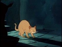 This little guy and his fellow felines helped mankind by taking a stand against disease-carrying rats, we're taught in the excerpt "The Great Cat Family." Had things not changed, the feature presentation would have ended up on the same anthology series in live-action form and we'd almost certainly not be talking about it today.
