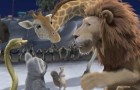 The Disney-distributed computer-animated comedy/adventure "The Wild" roars its way to DVD on September 12th. Click for the facts, the menus, and the heavily-discounted preorders.