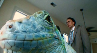 Nic Cage looks shiftily at a hallucinatory iguana that has stolen the foreground from him.