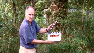 Although he's directed such films as "Aguirre, the Wrath of God" and "Grizzly Man", director Werner Herzog isn't above holding the slate on a plantation scene shoot, as seen in the DVD's making-of documentary.