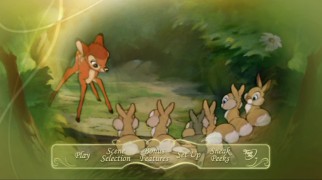 The main menu screen for the bonus DVD of the Diamond Edition Blu-ray combo displays a lot more effort than Beauty and the Beast's did.