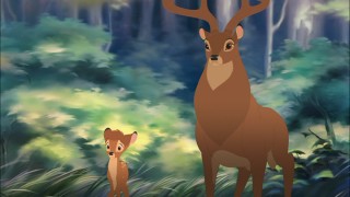 Bambi and his old man observe the forest.