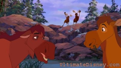 Rutt and Tuke (background) wave to the moosettes, who want nothing to do with the misguided pair.