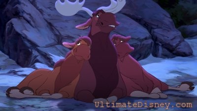 Tuke enjoys some alone time with the moosettes.