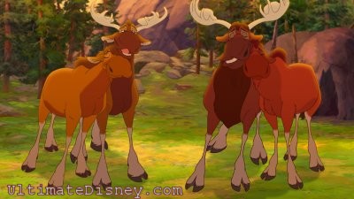 Rutt and Tuke’s repeated attempts to woo the moosettes finally pay off.