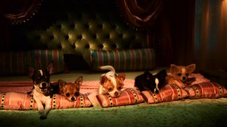In the world of Disney talking dog comedies, first comes love, then comes marriage, then come five puppies getting regaled with historical Chihuahua folklore before bed.