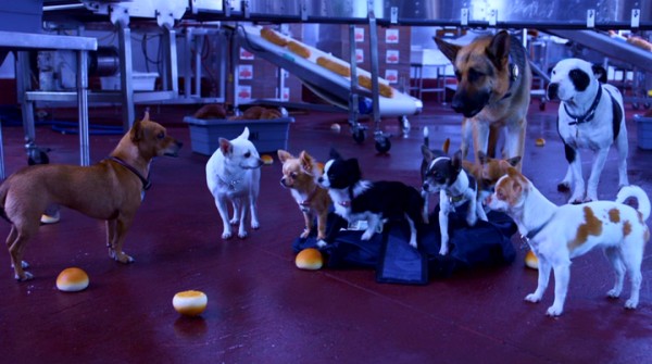 "Beverly Hills Chihuahua 2" concludes with most of its canine cast heroically gathered at a bread factory doubling as a criminal hideout.