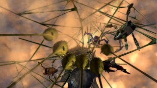 For a web of shadows, things look awfully bright.