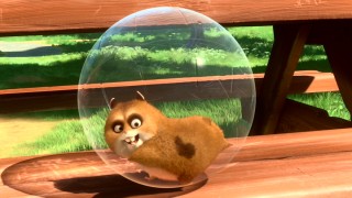One of Bolt's biggest fans, Rhino the hamster in the plastic ball shows off his lightning bolt mark and moves.