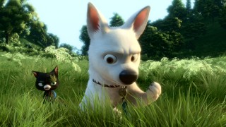 Bolt encounters blood for the first time, after he and Mittens fall off a U-Haul truck somewhere in Ohio.