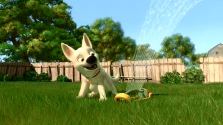 Bolt discovers the magic of sprinklers, one of many canine curiosities Mittens introduces him to.