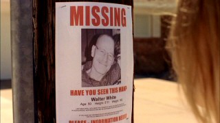 Walter's disappearance is noted in the missing signs posted to telephone poles and the like in "Grilled."