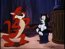 "Bath Day" has worked Figaro into quite the fix.