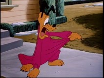 Pluto isn't feeling the fuchsia threads, know what I'm sayin'?