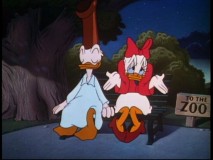 Daisy's look seems to say "What else can a girl do when your pal wants to take a late night stroll through the zoo with a boot on his head?"