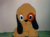 Pluto, Jr.'s got a ring worm.