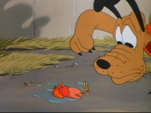 Pluto gets slick with a fledgling bird.