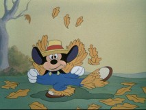 "The Little Whirlwind"
