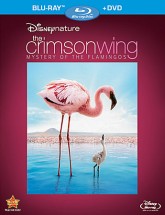 Disneynature: The Crimson Wing - Mystery of the Flamingos Blu-ray + DVD Combo cover art - click to buy from Amazon.com