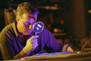 Have no fear -- Dr. Gil Grissom (William Petersen) and his magnifying glass are on the case.