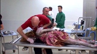Bonus features pay much notice to the creation of the gruesome corpses prominently seen on the show.