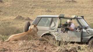 The video shorts of Filmmaker Annotations mode show us how "African Cats" was made.