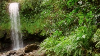 The natural beauty of After Earth's filming locations is captured in a feature you can turn into a screensaver loop.