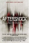 Aftershock (2013) movie poster