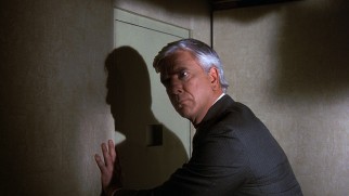 In the role that provided a career rebirth in comedy, Leslie Nielsen plays unhelpful passenger Dr. Rumack.