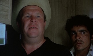 At the height of his fame, Ned Beatty randomly pops up late in the film as the aptly-named Colorado melon farmer Anglo Coyote.