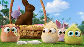 The Angry Birds hatchlings wish you a happy Easter in this short.
