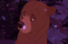 Brother Bear & Brother Bear 2: 2 Movie Collection Blu-ray + DVD Review