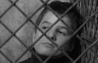 The 400 Blows: The Criterion Collection Blu-ray + DVD Review