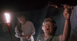 Eccentric exterminator Delbert McClintock (John Goodman) inspects the Jennings' wine cellar, determining it suffers from bad wood.