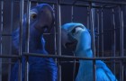 Rio: Blu-ray + DVD + Digital Copy Review