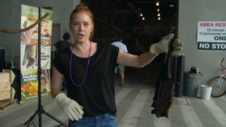 Amy Adams holds a bat upside down in "Save the Bats."