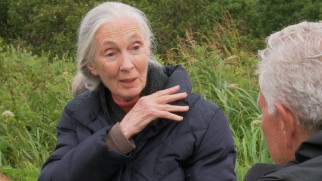 Jane Goodall declares herself a fan of Disneynature's "Bears" in "The Future of Bears."