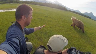 "A Guide to Living with Bears" reveals it never hurts to carry a flare when filming deadly brown bears.