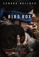 Bird Box (2018) movie poster