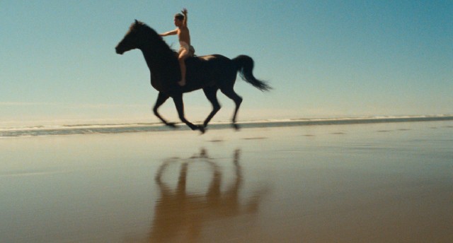Stranded on a beach off the coast of Africa, Alec Ramsey (Kelly Reno) and Black the stallion bond in "The Black Stallion."