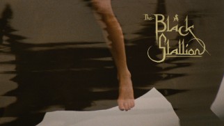 Criterion's static Blu-ray menu is briefly joined by harp score from the film.