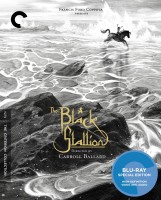 The Black Stallion: The Criterion Collection Blu-ray Disc cover art -- click to buy from Amazon.com