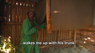 Elephant keeper Omari Shongolo shares his experiences with Sabachi the elephant in the webisode "Caregivers."