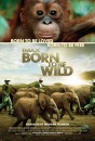Born to Be Wild (2011) movie poster