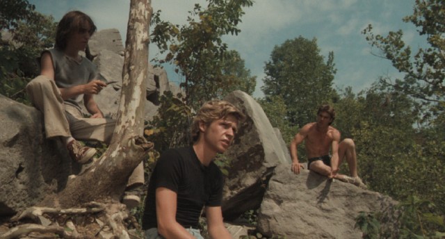 In Bloomington, Indiana in the late 1970s, nineteen-year-old boys like Dave Stohler (Dennis Christopher) and his friends (Jackie Earl Haley and Dennis Quad) hung out at the quarry.