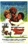 The Biscuit Eater movie poster - click to buy